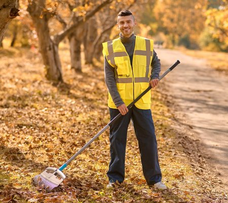 Brush & Debris Removal
