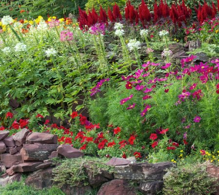 Flower Bed Maintenance