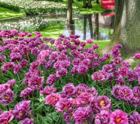 Flower Bed Maintenance